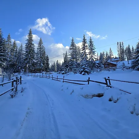 Appartamento Violet *