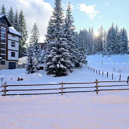 Violet Appartamento *