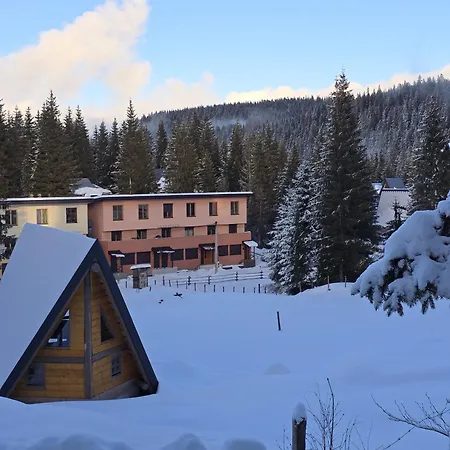 Violet Jahorina
