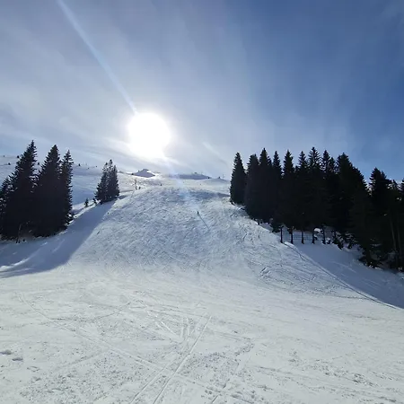 Apartment Violet Jahorina