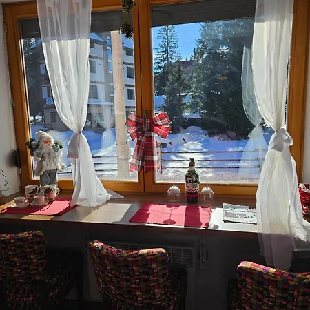 Violet * Jahorina