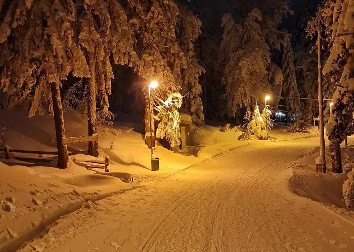 Violet Apartment Jahorina