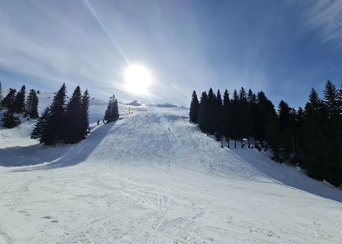 Apartment Violet Jahorina