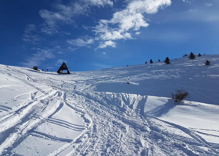 Apartment Violet Jahorina