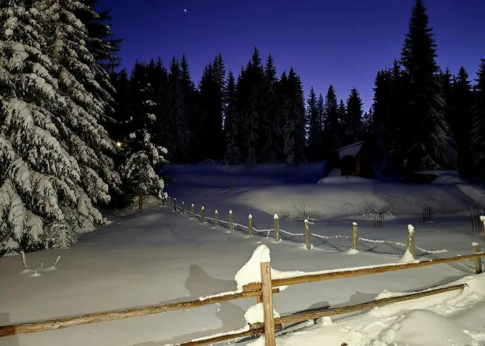 Apartment Violet Jahorina